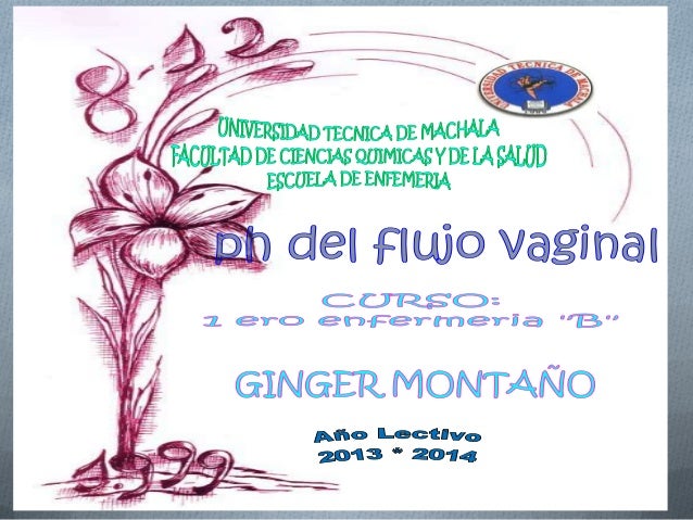 scaricare da scuolabook gratis